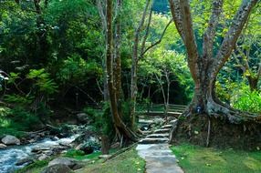 trail and bridge over the river between the trees