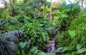 Arboretum at the Botanical Garden in Missouri