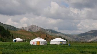 white yurts in mountain landscape, mongolia
