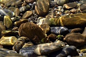 large round stones under the river water