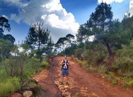 tourist on the road among the nature of mexico