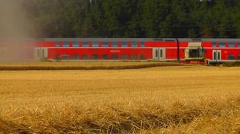 red train rides along a golden grain field