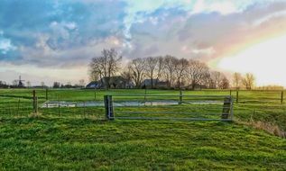 green summer farm in the netherlands