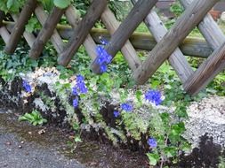 Wooden fence of the garden