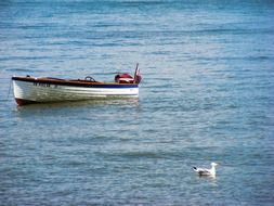 fishing boat and seagull at Lake Erie in North America