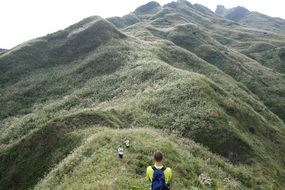 mount flower taiwan E5 A3 BA tea mountain