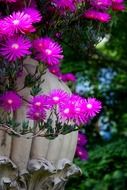 splendiferous pink flora
