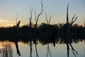 peaceful evening on a lake in a forest