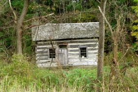 small gray barn in the forest