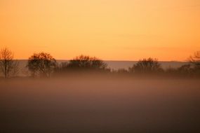 mist on a field at sunset