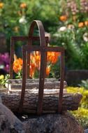magazine stand in the garden