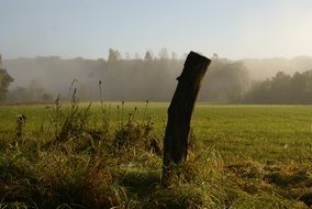 wooden pole on the edge of a green field