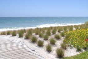 landscape of Beach in Florida