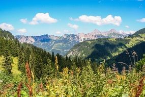 picturesque Alpine landscape against the backdrop of a sunny day