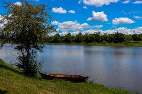 river boat on the shore and tree