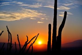 desert nature at sunrise landscape