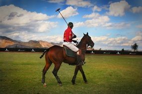 polo player riding horse in view of mountains, mexico, jalisco