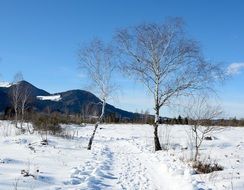 road through the winter snow landscape