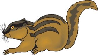 chipmunk as a graphic illustration