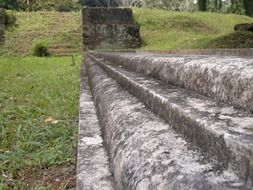 steps stone landscapes