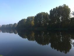reflection of lush trees in a pond