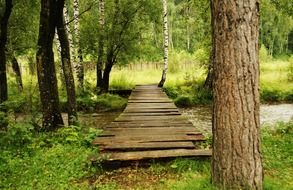 wooden flooring through a forest river