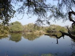 lake among wild nature