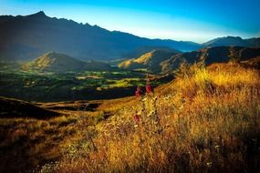 Coronet Peak in New Zealand