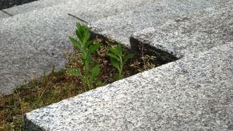 Stone stairs in Japan