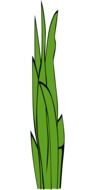 blades of grass on a white background