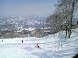 Skiers on a snowy mountain in Japan