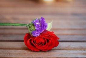 red and violet flower bouquet on wood