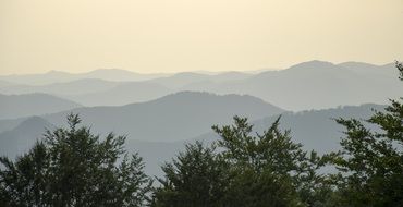 the tops of the trees on the background of the peaks of the mountains