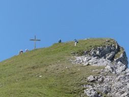 mountain meadow in the Bavarian Alps