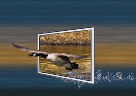 goose in digital art