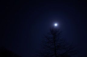 Picture of night sky