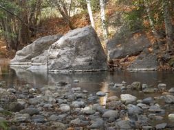 grey rocks at creek beneath trees