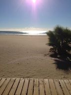 perfect landscape beach