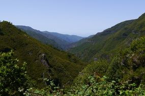 panorama of green hills on madeira