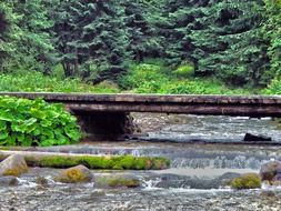 foot bridge over the river in the park