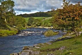 creek among the autumn landscape