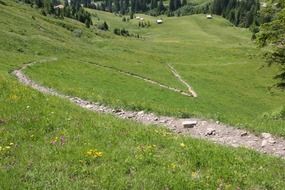 Beautiful serpentine path among the colorful plants on the mountain