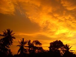 evening sky in tropics