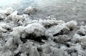 bewitching salt dead