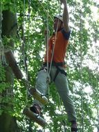 Picture of high ropes course in a forest