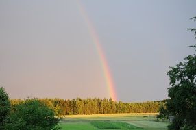 rainbow over the forest after a thunderstorm