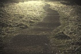 dark autumn empty path