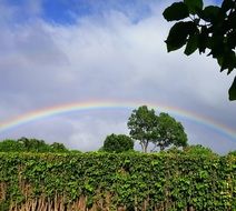rainbow outdoors