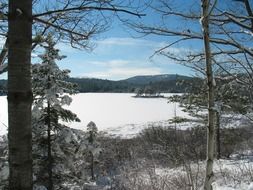 charming lake landscape