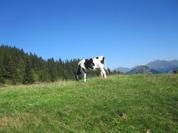 dolomites mountains hiking in Italy